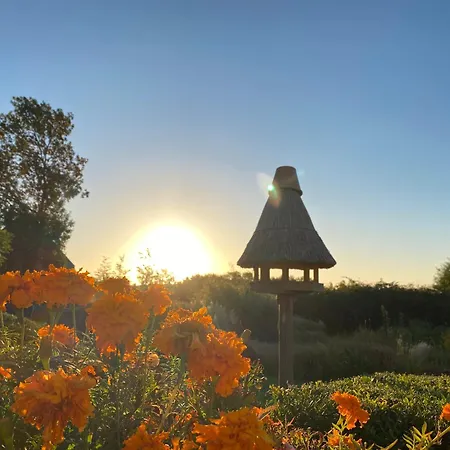 & Restaurant Zum Kap Arkona Putgarten